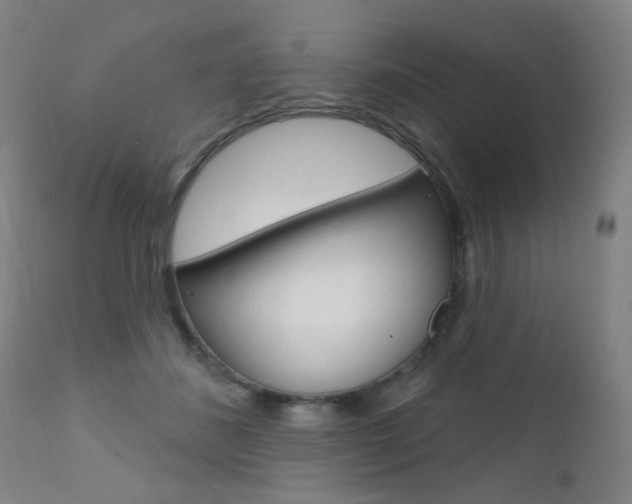 X0000111610508200907171042