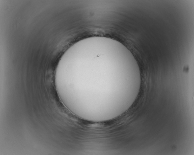 X0000111610511200907171042