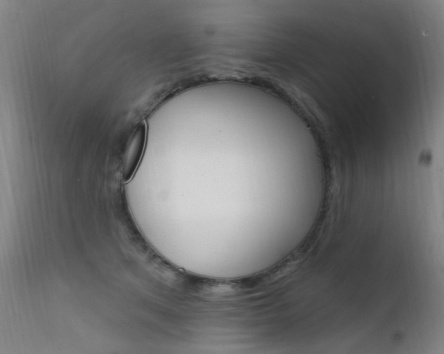 X0000111610513200907171042