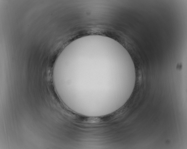 X0000111610514200907171042