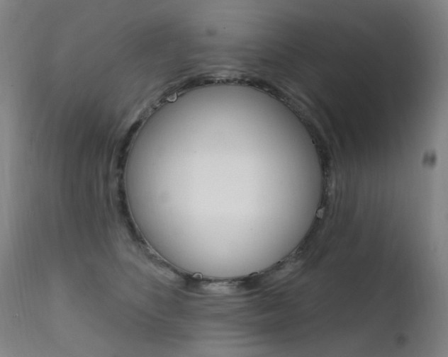 X0000111610516200907171042