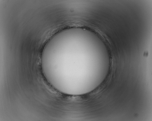 X0000111610517200907171042