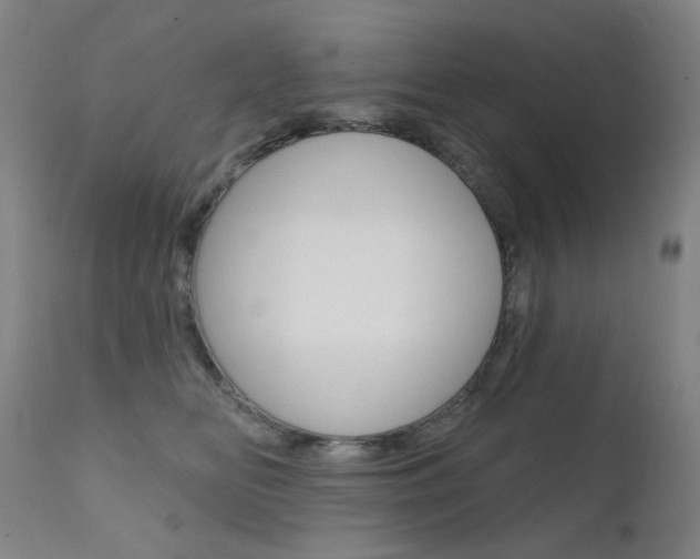 X0000111610518200907171042