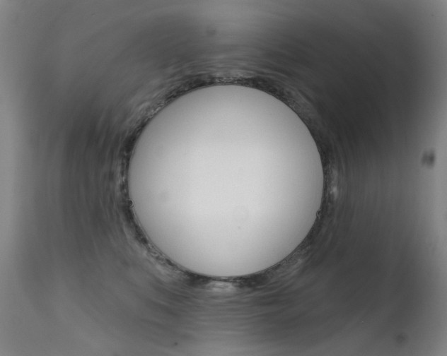 X0000111610519200907171042