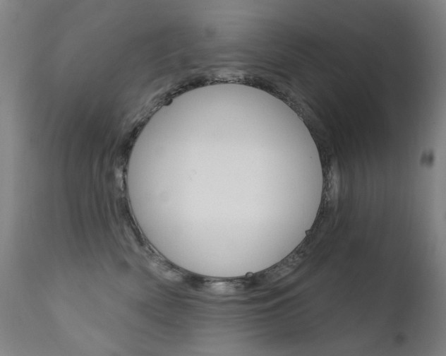 X0000111610522200907171042