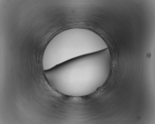 X0000111610525200907171042