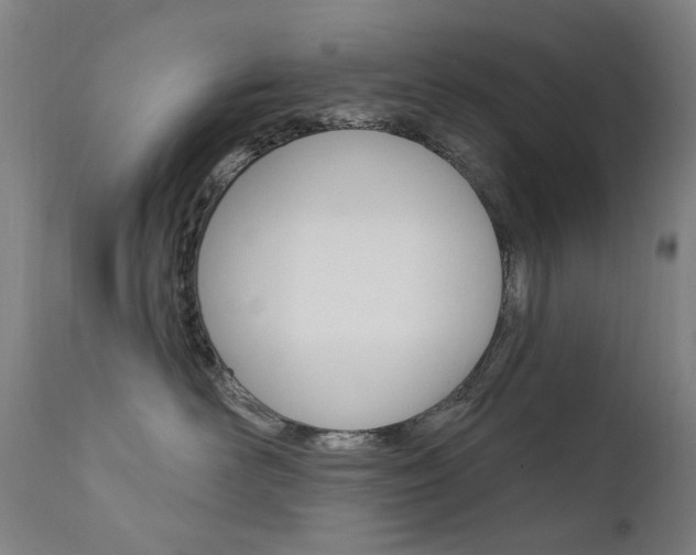 X0000111610526200907171042