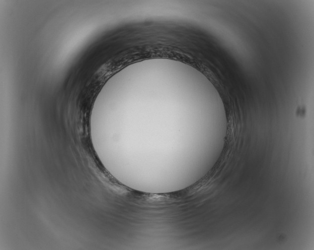 X0000111610527200907171042
