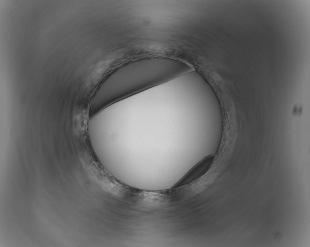 X0000111610528200907171042