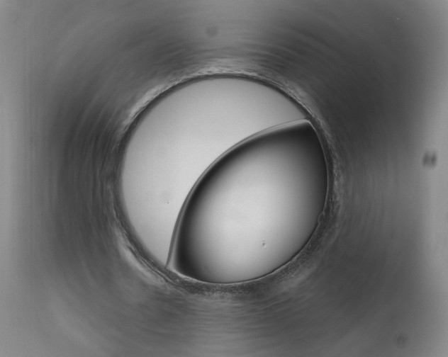 X0000111610530200907171042
