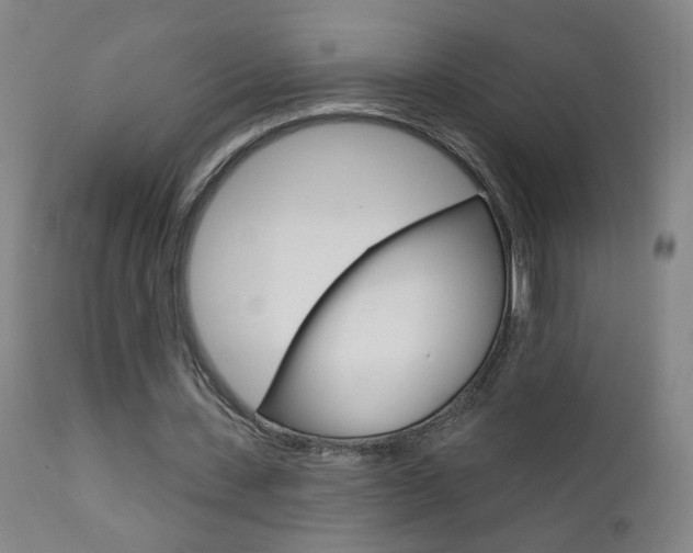 X0000111610531200907171042