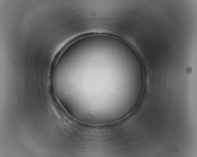 X0000111610532200907171042