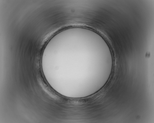 X0000111610533200907171042