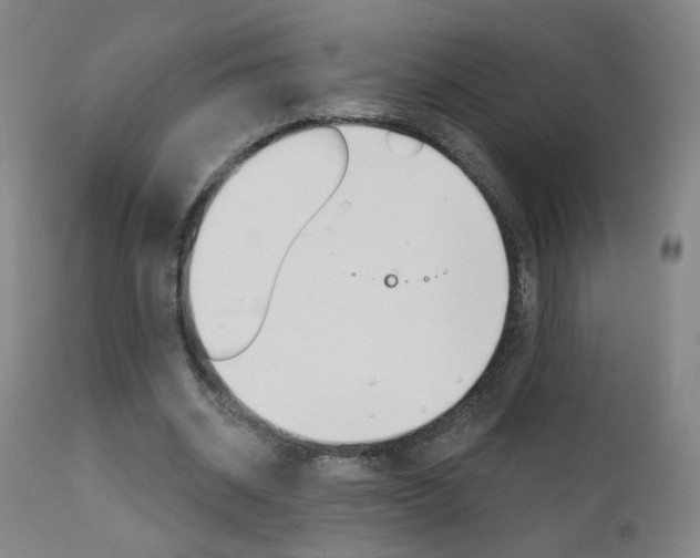 X0000111610534200907171042