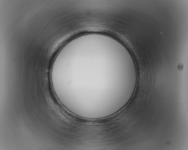 X0000111610535200907171042