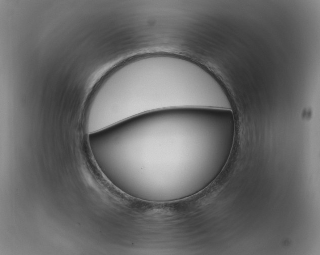 X0000111610536200907171042
