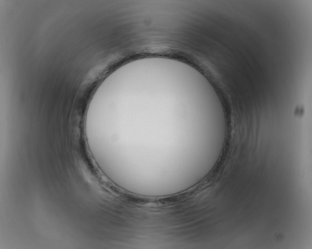 X0000111610542200907171042