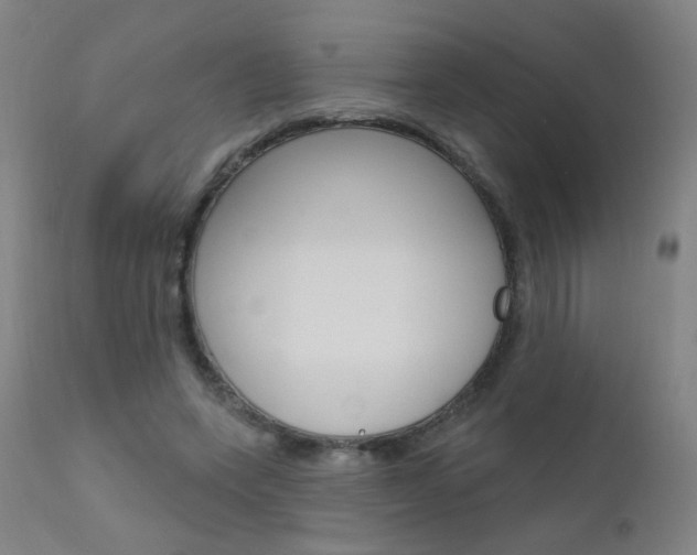 X0000111610543200907171042