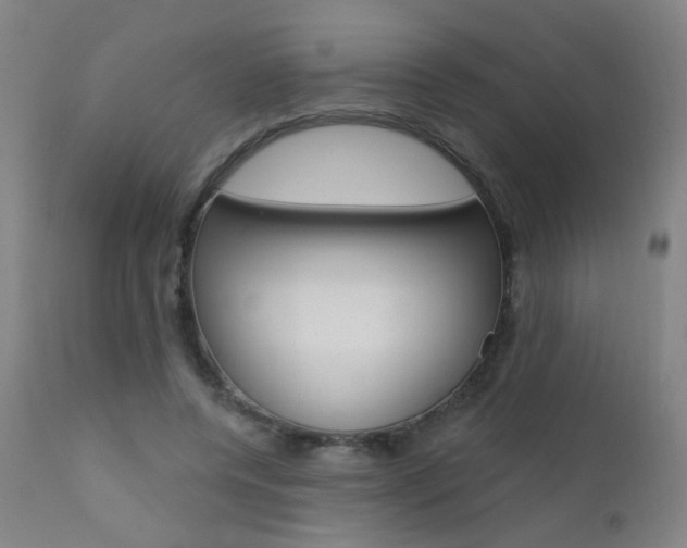 X0000111610544200907171042