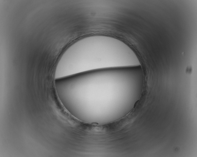 X0000111610546200907171042
