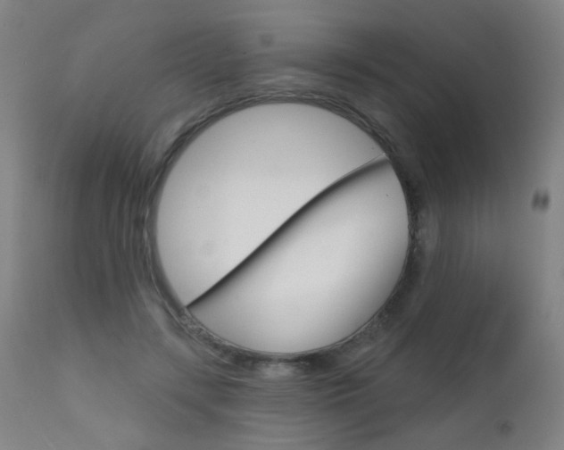 X0000111610547200907171042