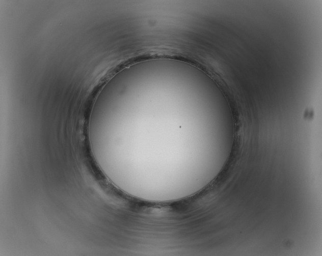 X0000111610548200907171042