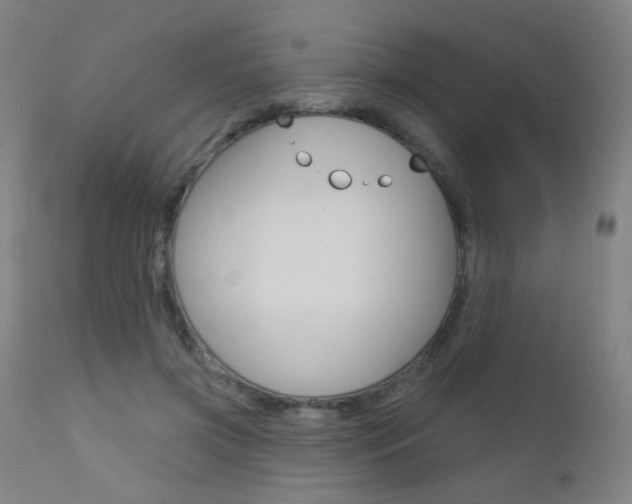 X0000111610549200907171042