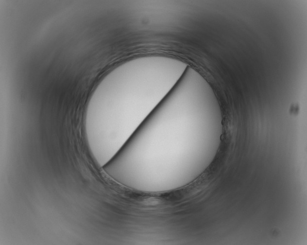 X0000111610551200907171042