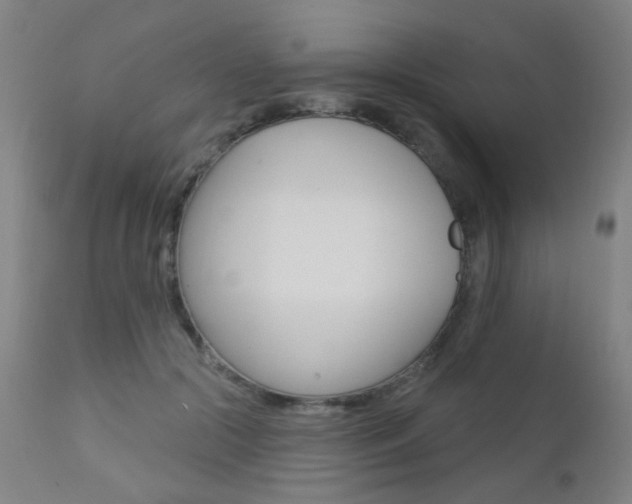 X0000111610553200907171042