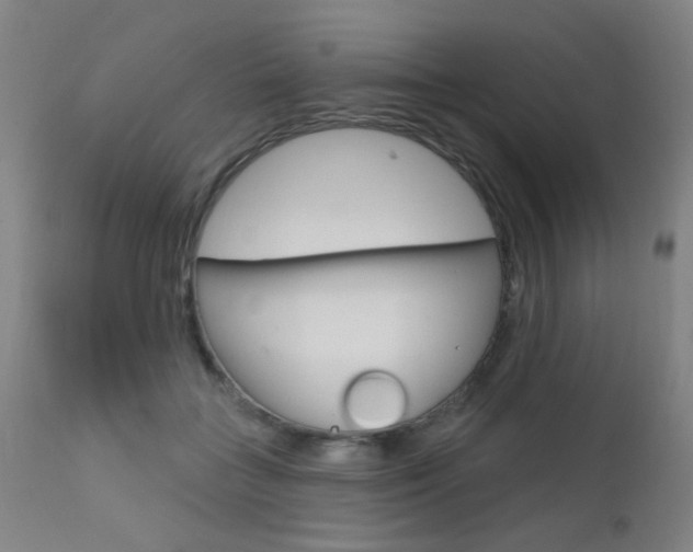 X0000111610555200907171042