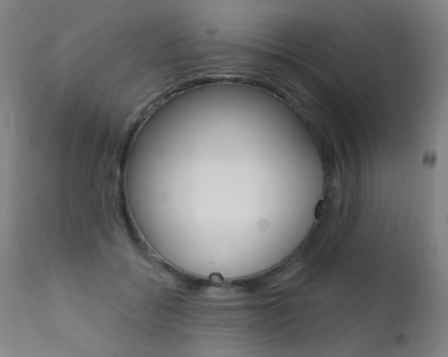 X0000111610556200907171042