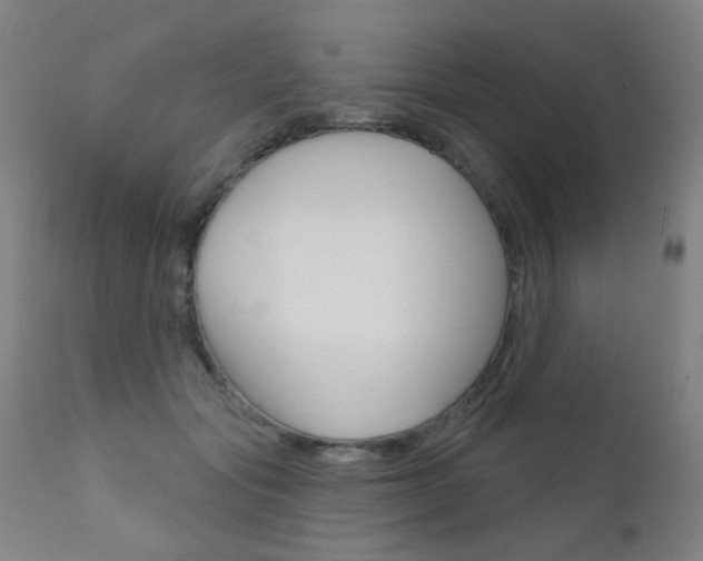 X0000111610557200907171042