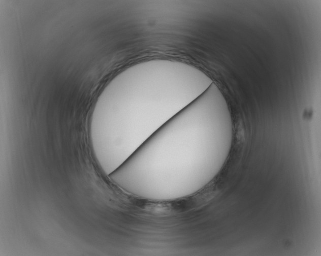 X0000111610559200907171042