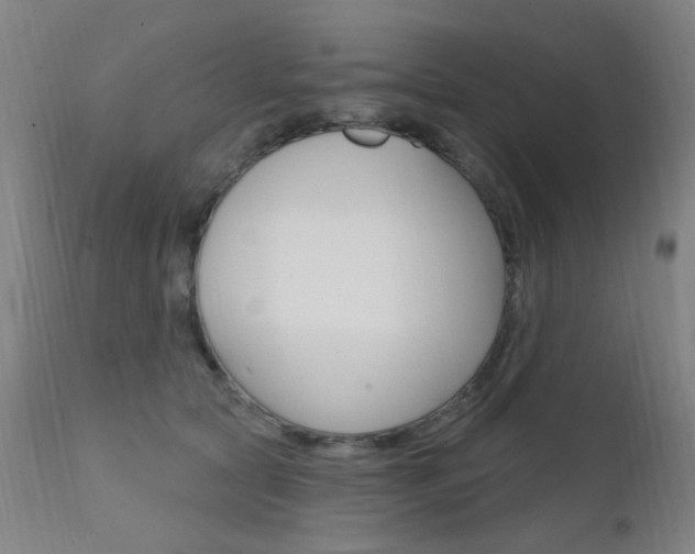X0000111610561200907171042