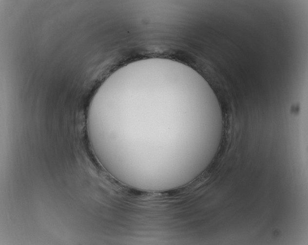 X0000111610563200907171042
