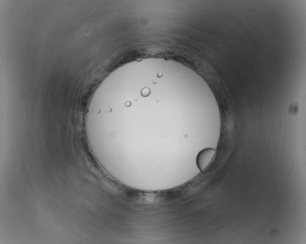 X0000111610565200907171042