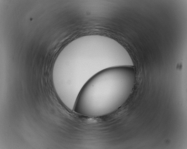 X0000111610566200907171042