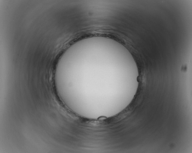 X0000111610567200907171042