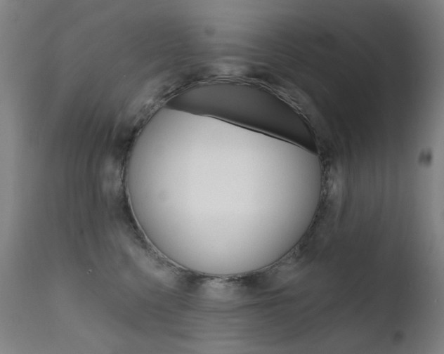 X0000111610568200907171042