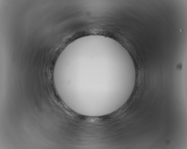 X0000111610569200907171042