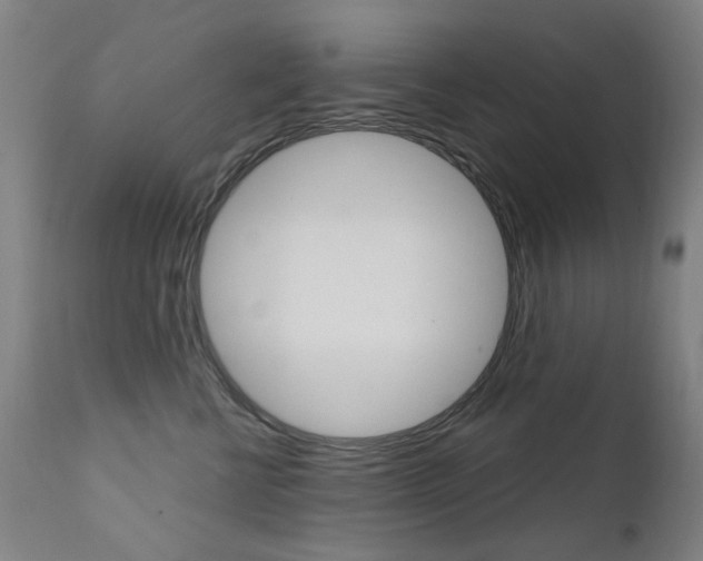X0000111610570200907171042