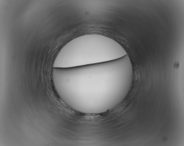 X0000111610571200907171042
