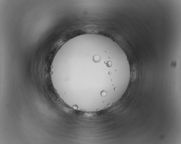 X0000111610573200907171042