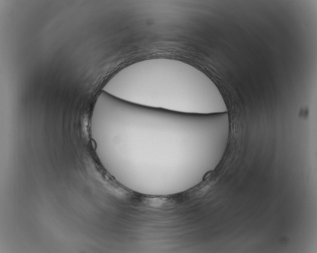 X0000111610575200907171042