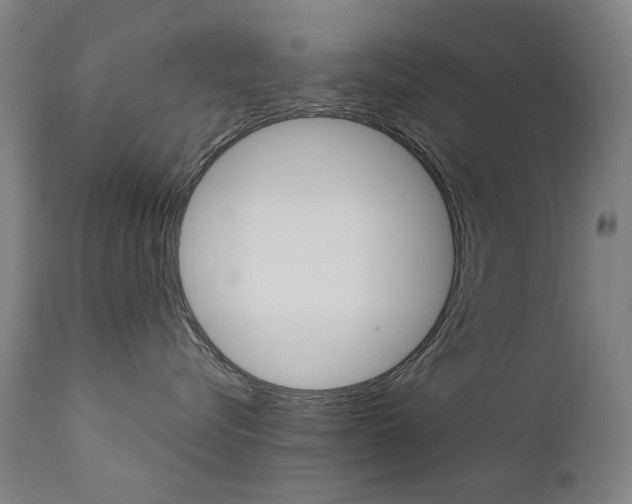 X0000111610576200907171042