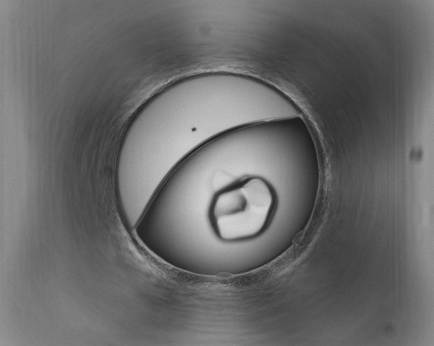 X0000111610577200907171041