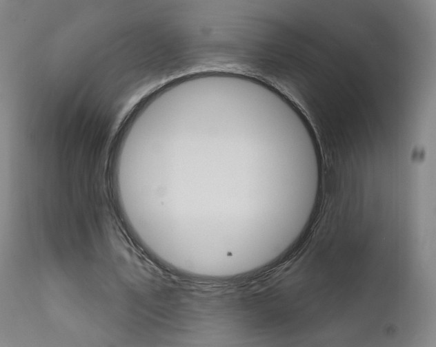 X0000111610579200907171041