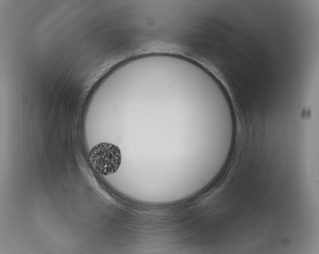 X0000111610581200907171041