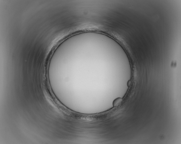 X0000111610582200907171041