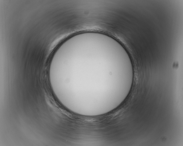 X0000111610583200907171041
